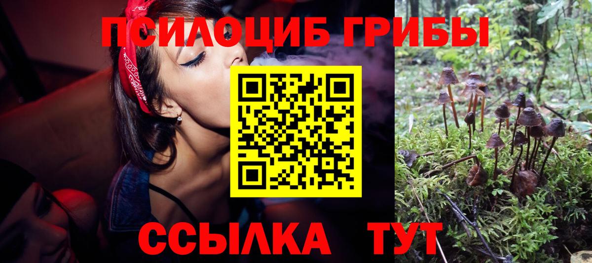 Галлюциногенные грибы мухоморы  Вход с VPN  Уварово 